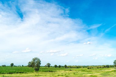 Mavi gökyüzü ve ağaç bulut. manzara arka plan.