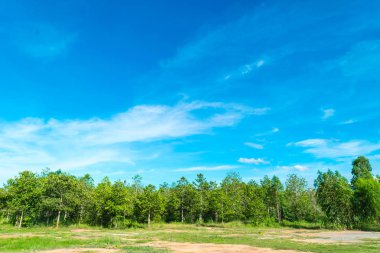 Mavi gökyüzü ve ağaç bulut. manzara arka plan.