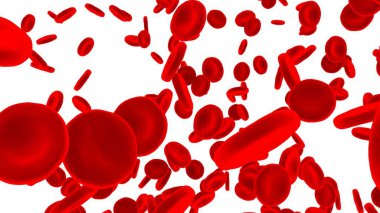 Beyaz zemin üzerinde izole kırmızı kan hücreleri. 