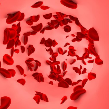 Kırmızı kan hücresi damar içinde.