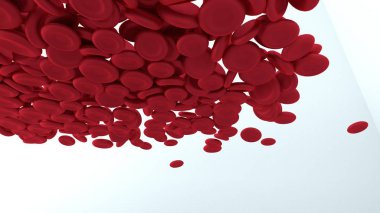 Beyaz zemin üzerinde izole kırmızı kan hücreleri. 