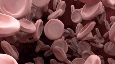 Kaba damar içinde kan hücresi. 