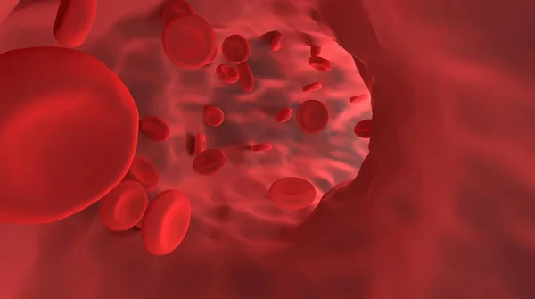 Клетки крови в кровеносных сосудах . — стоковое фото