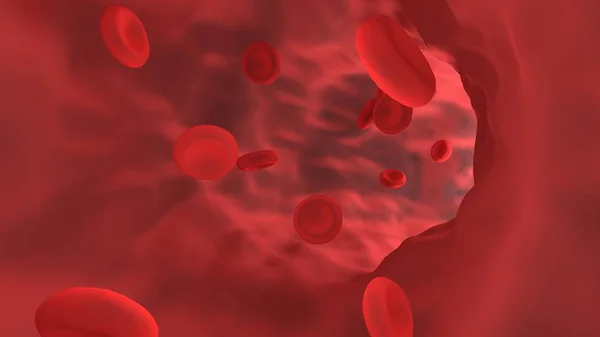 Red blood cell in blood vessel. — Stock Photo, Image