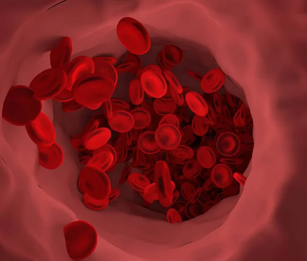 Krwinek czerwonych w naczyniach krwionośnych. — Zdjęcie stockowe