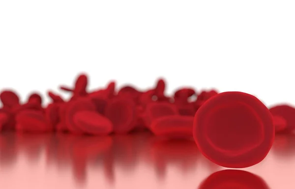 Červených krvinek na lesklé podlaze s bílým pozadím. — Stock fotografie