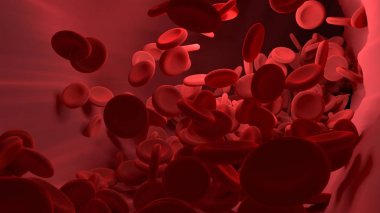 Kırmızı kan hücresi damar vücudun içinde. Edu bilim grafik