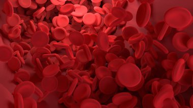 Kırmızı kan hücresi damar vücudun içinde. Edu bilim grafik