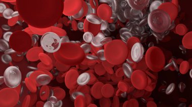 Kırmızı kan hücresi damar vücudun içinde. Edu bilim grafik