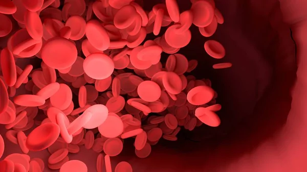 Красные кровяные тельца в кровеносных сосудах тела. Научная графика для edu — стоковое фото