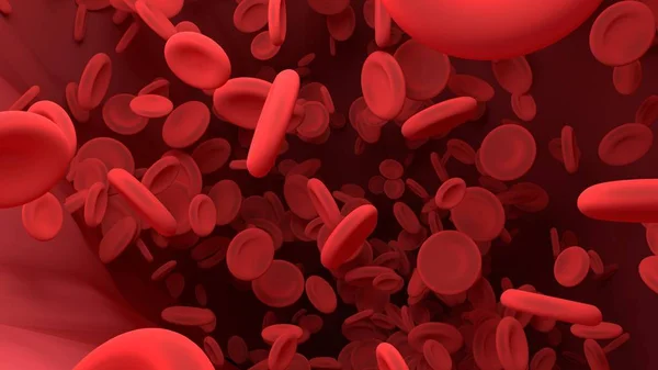 人体血管内的红细胞。科学图表为教育局 — 图库照片