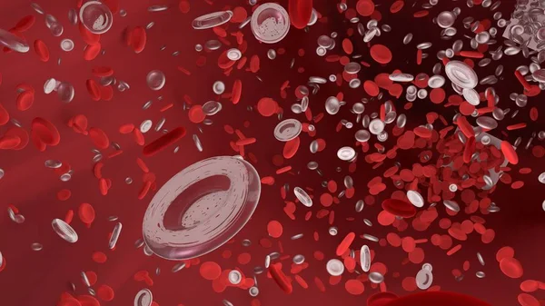 Красные кровяные тельца в кровеносных сосудах тела. Научная графика для edu — стоковое фото