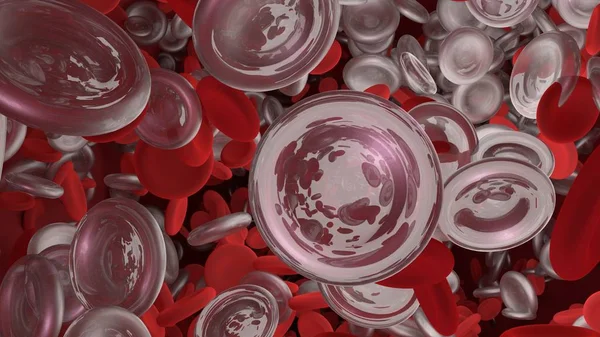 Vörösvérsejt erek, a test. Tudomány grafikai edu — Stock Fotó