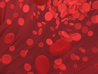 Kırmızı kan hücresi kan damarlarında akıyor. Bilim grafiği