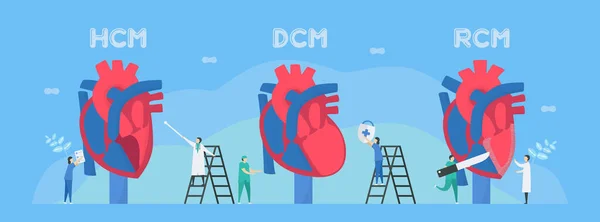 Illustrazione Vettoriale Cardiologia Queste Malattie Sono Hcm Dcm Rcm Capacità — Vettoriale Stock