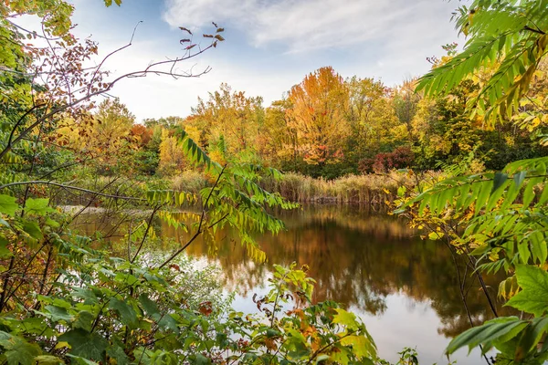 Montreal 4 'teki parkta göl