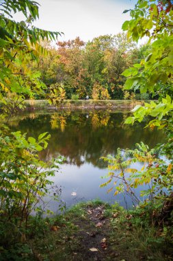 Montreal 'deki parkta huzur