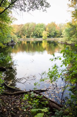 Montreal 3 'teki parkta huzur
