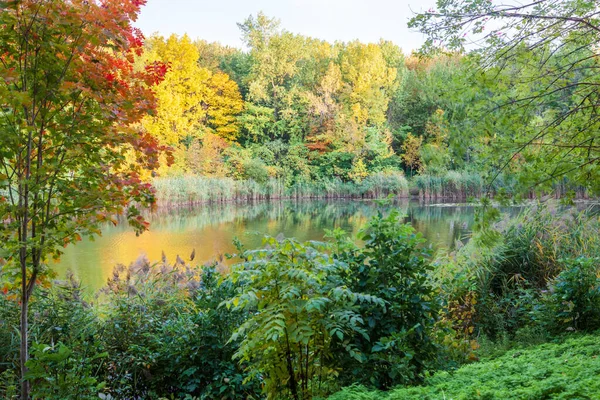 Jezero v kanadském parku — Stock fotografie