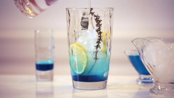 Limonade kochen. Sprudelwasser mit Zitrone und Sirup — Stockvideo