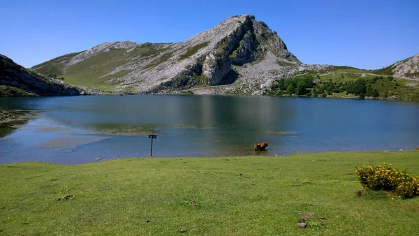 西班牙阿斯图里亚斯 Covadonga 湖泊的视图 — 图库照片