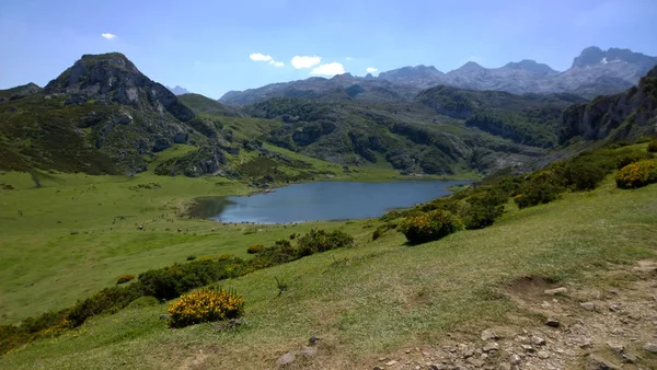 西班牙阿斯图里亚斯 Covadonga 湖泊 — 图库照片