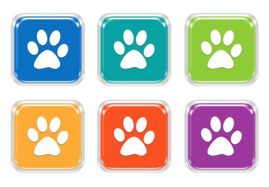evde beslenen hayvan ayak izleri simgesi olan kare renkli düğmelerinin ayarla