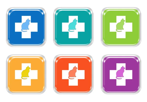 Conjunto Botones Redondeados Cuadrados Coloridos Con Símbolo Veterinario Gato Colores —  Fotos de Stock