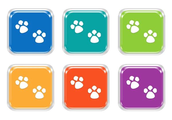 带宠物脚印的圆形方形五颜六色的按钮集蓝色 紫色和橙色的颜色 — 图库照片