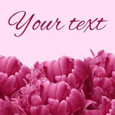 Fotorealistik pembe yapraklı kart