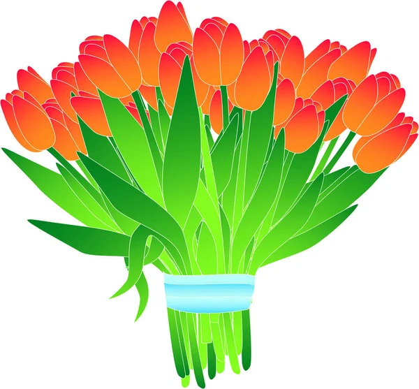 Bouquet Tulipes Vectorielles Illustration — Image vectorielle