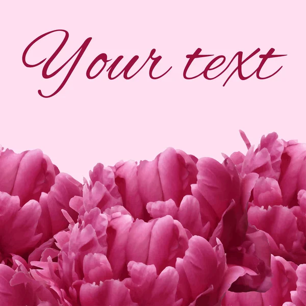 Card Photorealistic Pink Petals — Stock Vector