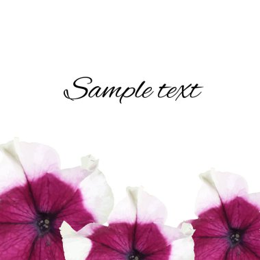 Fotorealistik çiçek vektör illüstrasyonlu kart