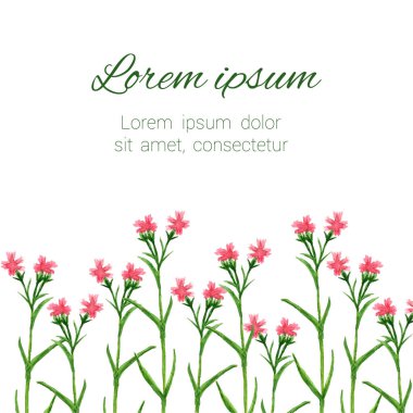 Çiçek çerçevesi. Vektör suluboya çiçekleri