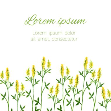 Çiçek çerçevesi. Vektör suluboya çiçekleri