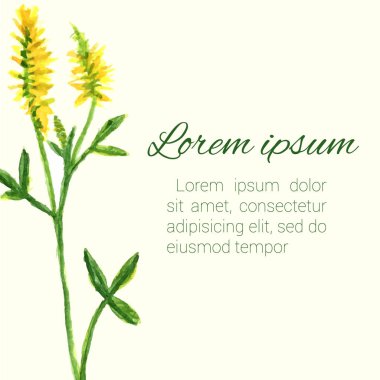 Çiçek çerçevesi. Vektör suluboya çiçekleri