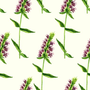 çiçek seamless modeli. vektör suluboya çiçek.