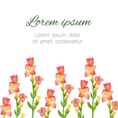 Çiçek çerçevesi. Vektör suluboya çiçekleri