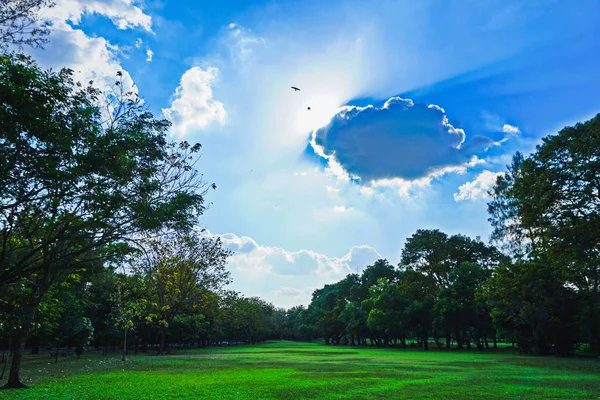 Yeşil güzel park ve mavi gökyüzü