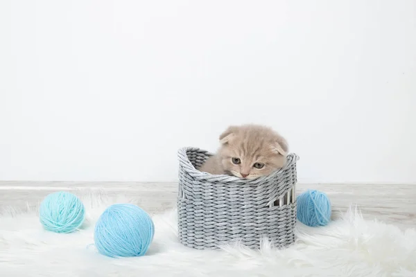 Kırmızı kedi bir sepeti kemiriyor. Çalınıyor