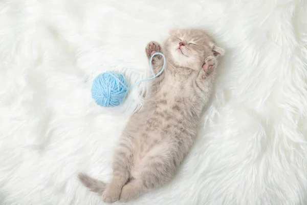 Küçük kızıl kedi yavrusu beyaz bir halıda uyuyor. Uyu. Rahatlama