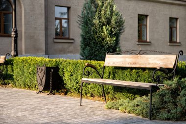 Parkta dinlenmek için bir yer. Ilık bahar günü.