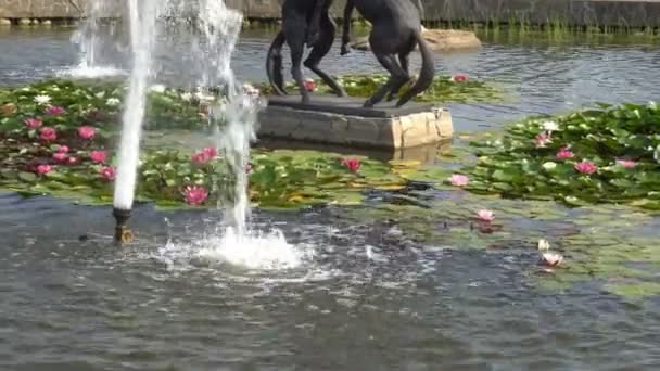 Prachtige decoratieve fontein met waterlelies — Stockvideo