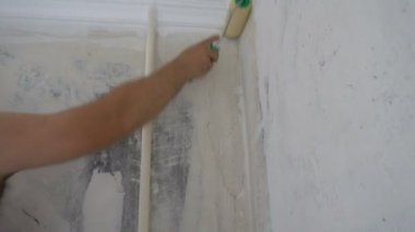 duvar kağıdı için tutkallar uygulayarak bir rulo ile duvar, duvar kağıdı için hazırlık