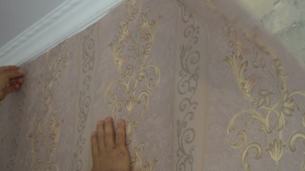Proces klejenia tapeta na ścianie, z ręki pracownika jest płynne Tapety — Wideo stockowe