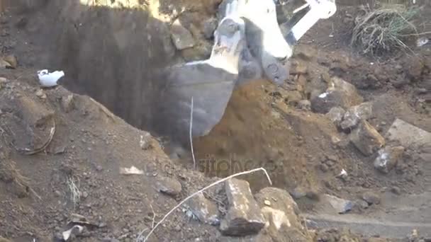 Жучок экскаватора копает землю и переносит ее в другое место — стоковое видео