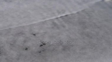 Tidewash döngü. Deniz kumlu kıyı kadar yıkar gelgit ve dışarı tekrar. Döngü-güçlü klip