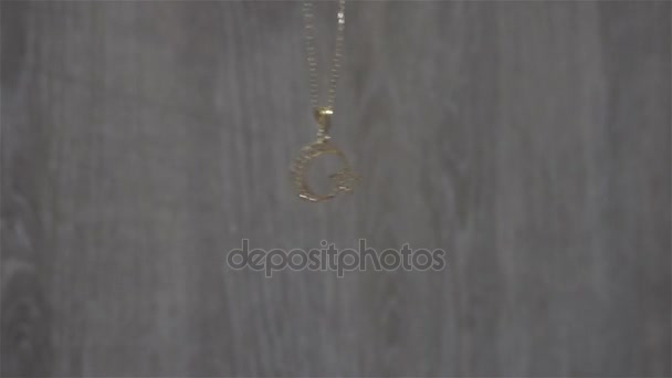 Golden pendant in the shape of a Turkey on a gray background — Stock Video