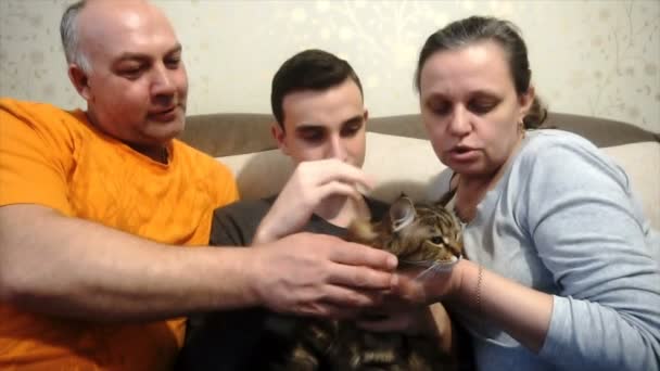 Anne baba ve oğul bir kedi, mutlu bir aile ile oynamak — Stok video
