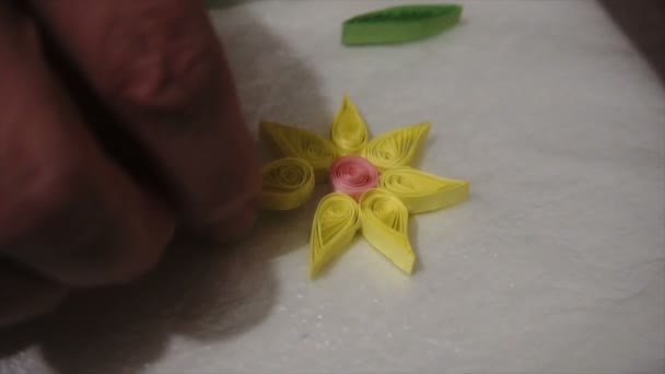 Mujer haciendo bricolaje papel quilling — Vídeos de Stock